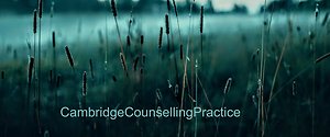 Face to Face or Online Counselling ?. banner reed